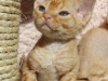 261
