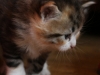 img_3301-emi