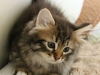 img_6358-enzo