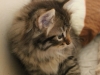 img_6359-enzo