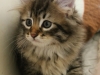 img_6361-enzo