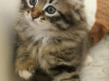 img_6376-enzo