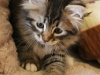 img_6413-enzo