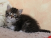 img_3804-enzo