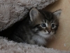 img_3822-enzo