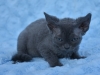 dsc_0158-s