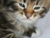 img_3391-enzo
