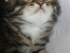img_3404-enzo