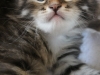 img_3415-enzo