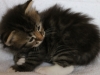 img_3430-enzo
