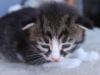 img_2961-lenny