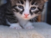 img_3007-lenny