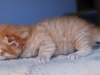 img_3020-leo