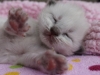 img_4298-nugat-tylko-ty
