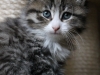 img_6940 img_6940