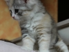 img_8717-hanuka