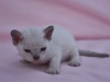 dsc_0585-s