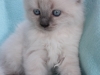 img_8119-nugat