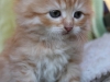 img_6107-oszi