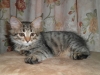 sam_2435